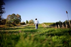 Morten in the vineyard